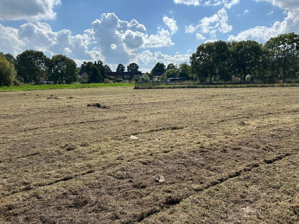 De uitvoering is gestart! De uitvoering is gestart!