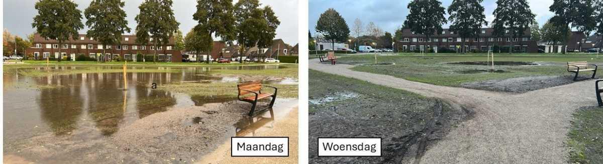 Update week 44 Park Leemwierde Update week 44 Park Leemwierde