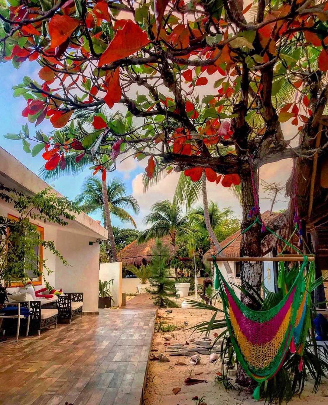 Hotel Pradise Garden Hotel Pradise Garden