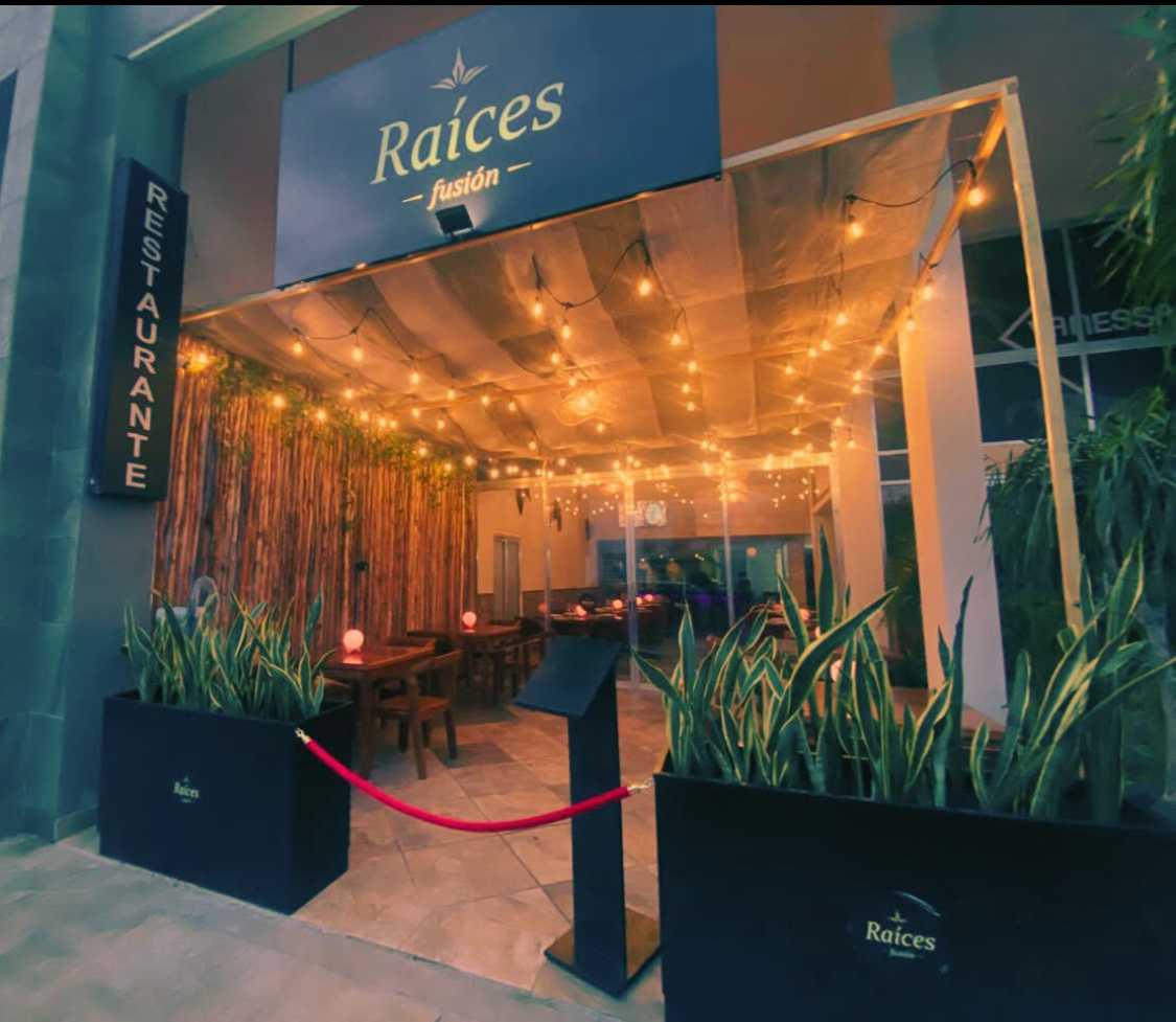 Raíces Fusión Raíces Fusión