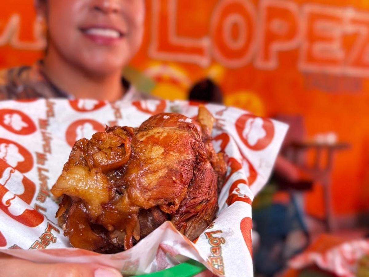 Mr. López Bosque Real Mr. López Bosque Real