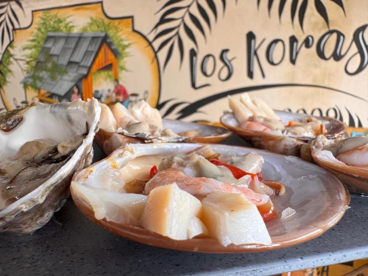 Los Koras Puerto Morelos Los Koras Puerto Morelos