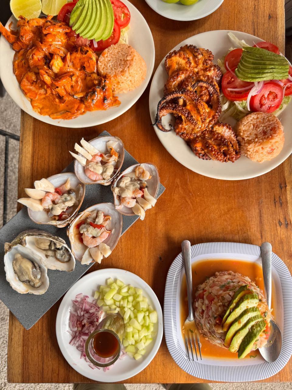 Los Koras Puerto Morelos Los Koras Puerto Morelos