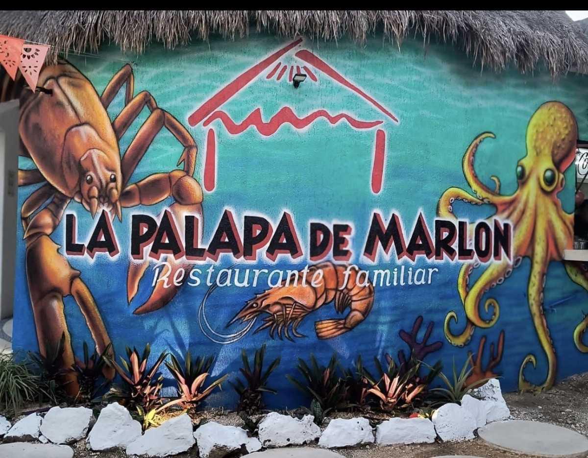 La Palapa de Marlon La Palapa de Marlon