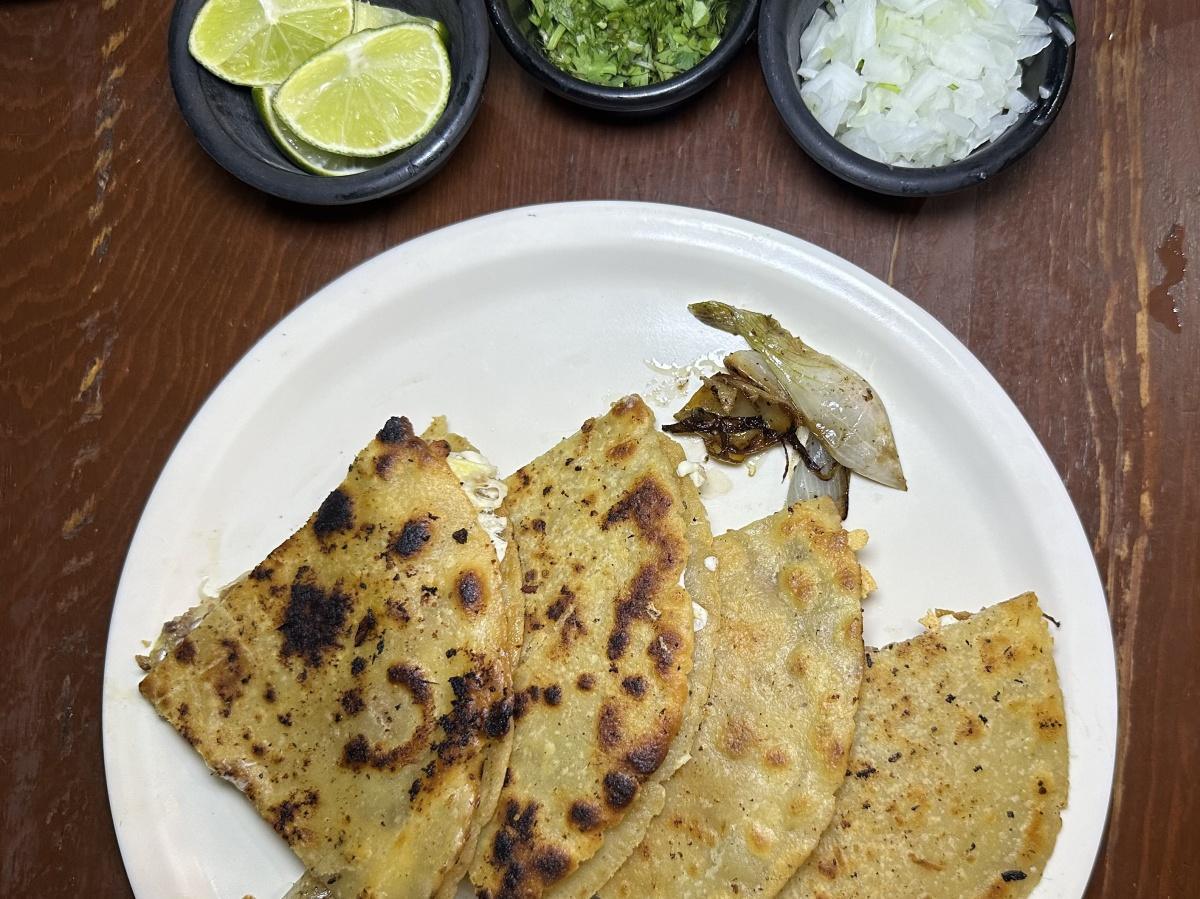 Lata Quería Lata Quería