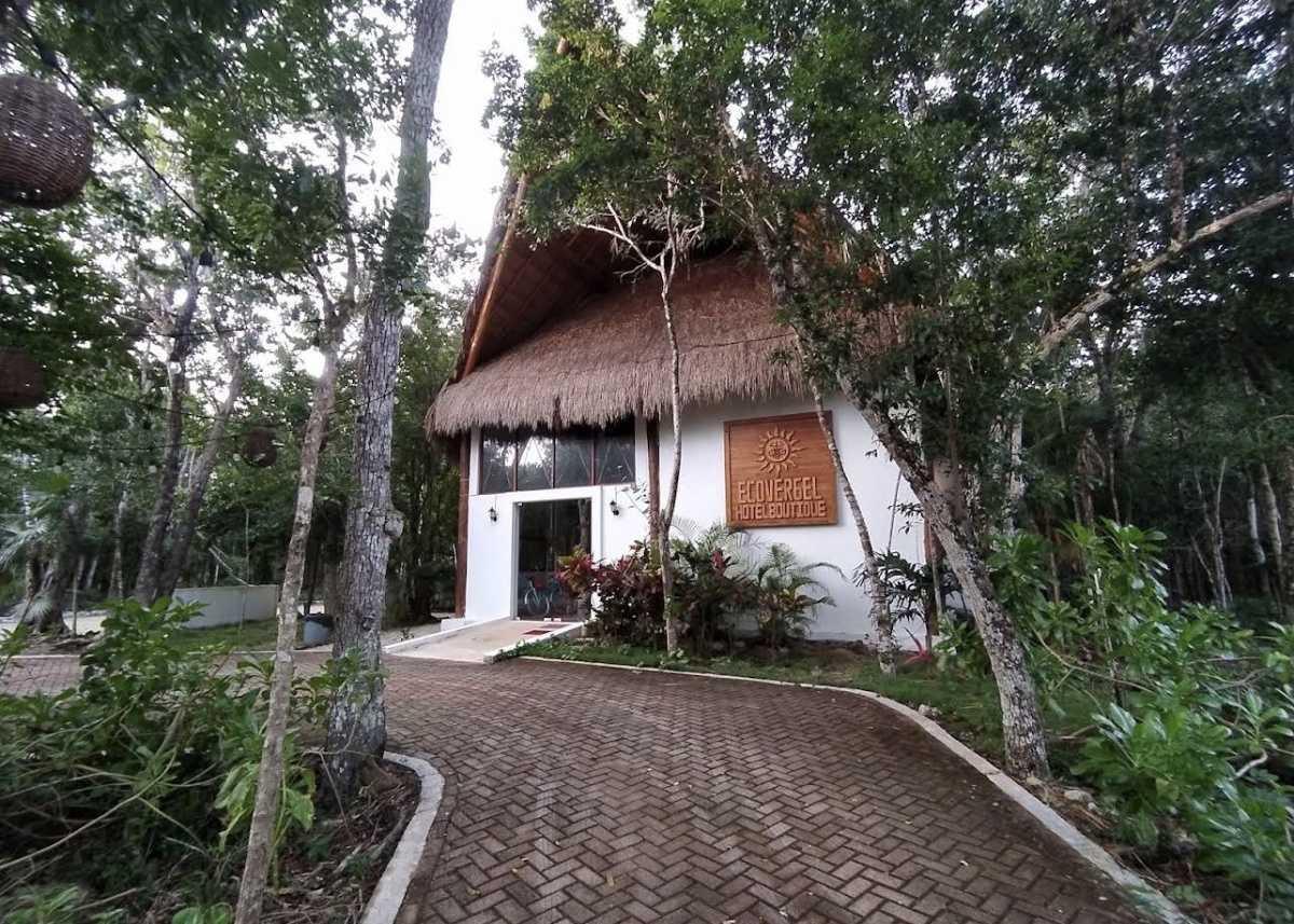 Ecovergel Ecovergel