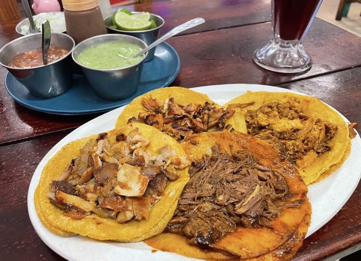 Tacos May Tacos May