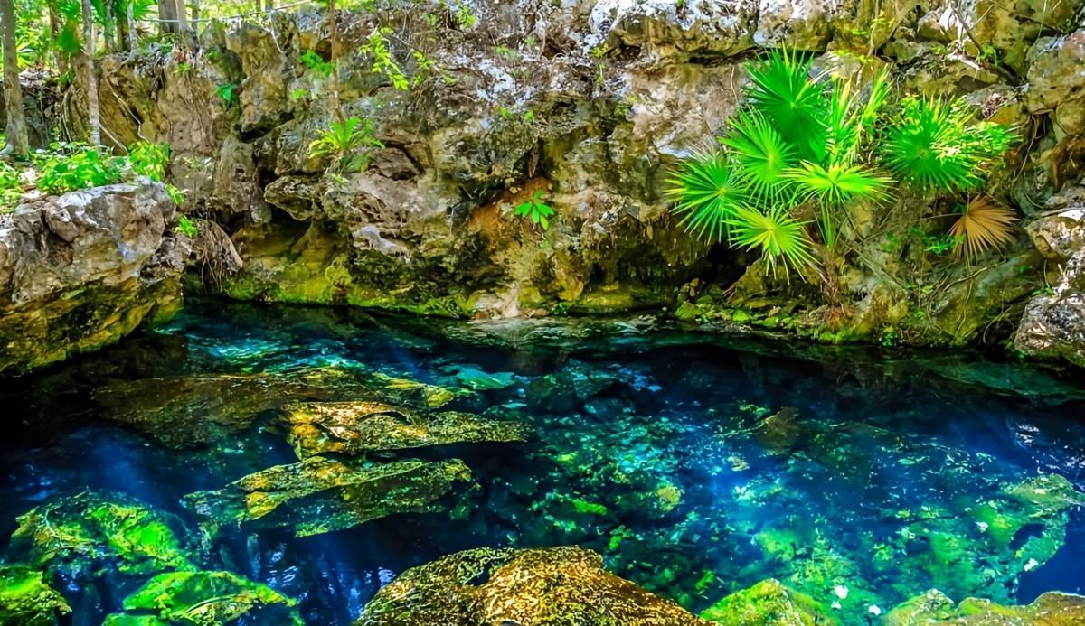 Cenote Cristalino Cenote Cristalino