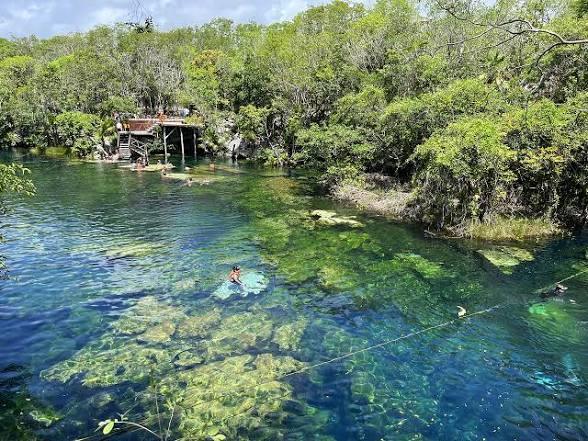 Cenote Jardín Del Edén Cenote Jardín Del Edén