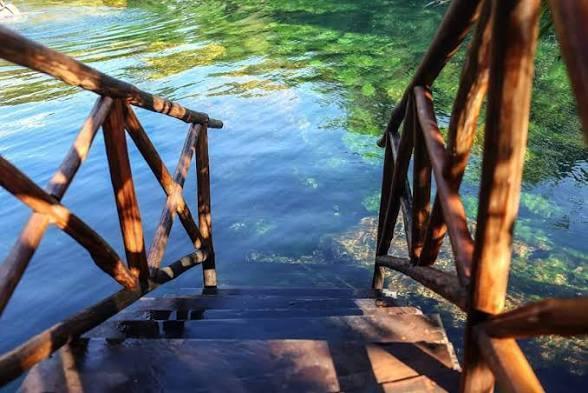 Cenote Jardín Del Edén Cenote Jardín Del Edén