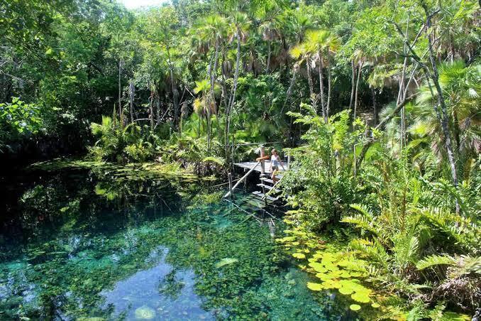 Cenote Nic Te Ha