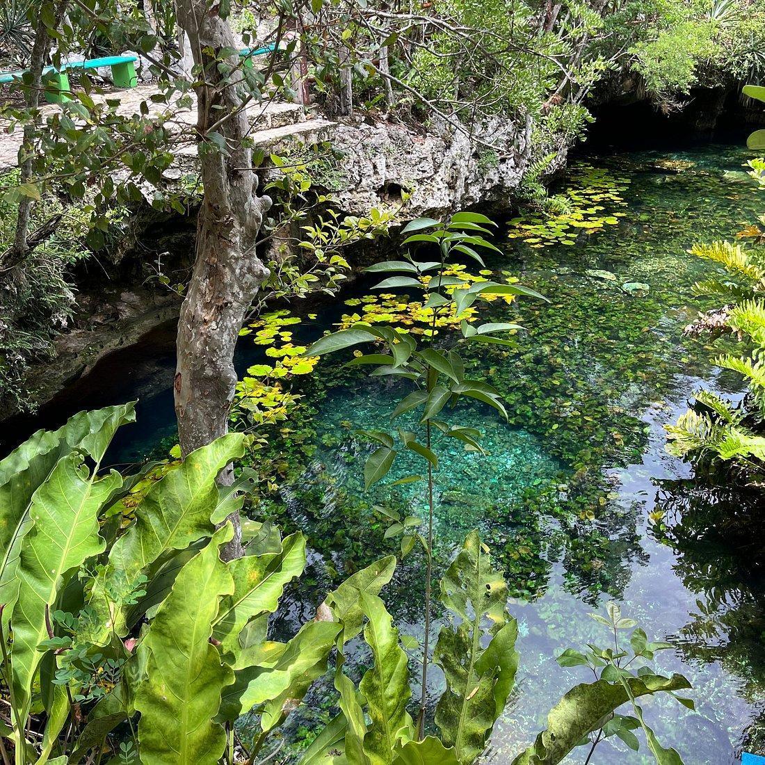 Cenote Nic Te Ha Cenote Nic Te Ha