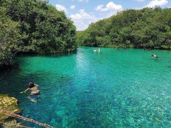 Cenote Manatí