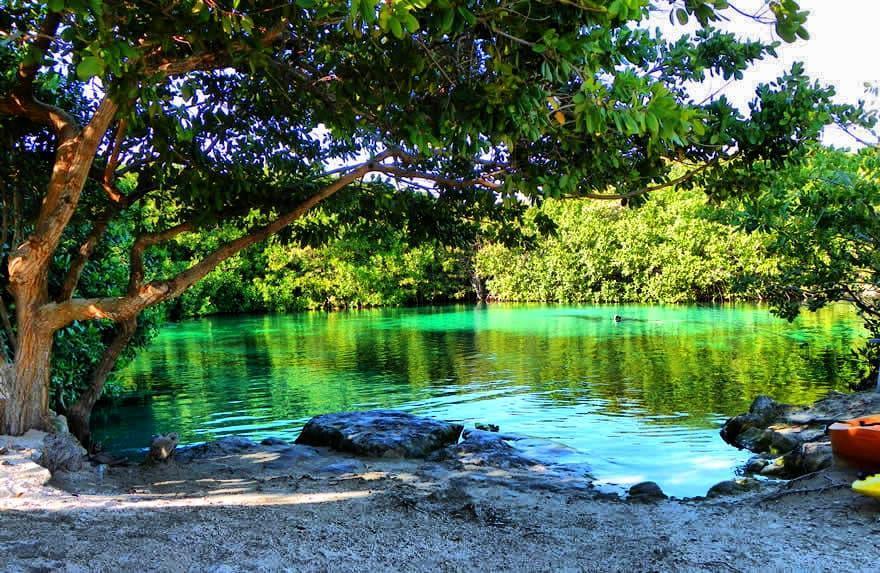 Cenote Manatí Cenote Manatí