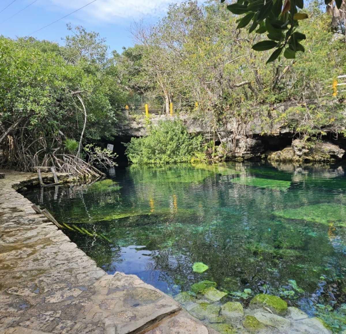 Cenote cristalino