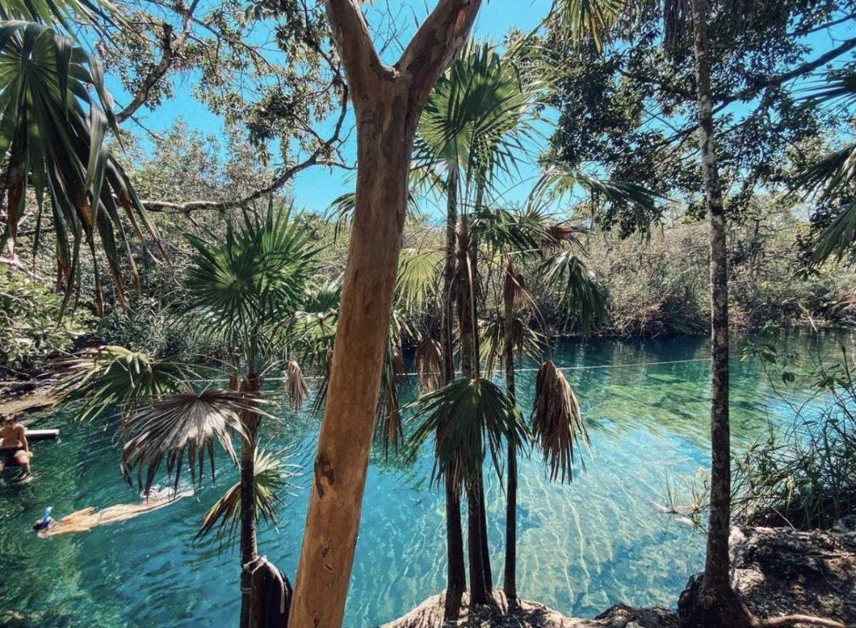 Cenote Cristal y Escondido Cenote Cristal y Escondido