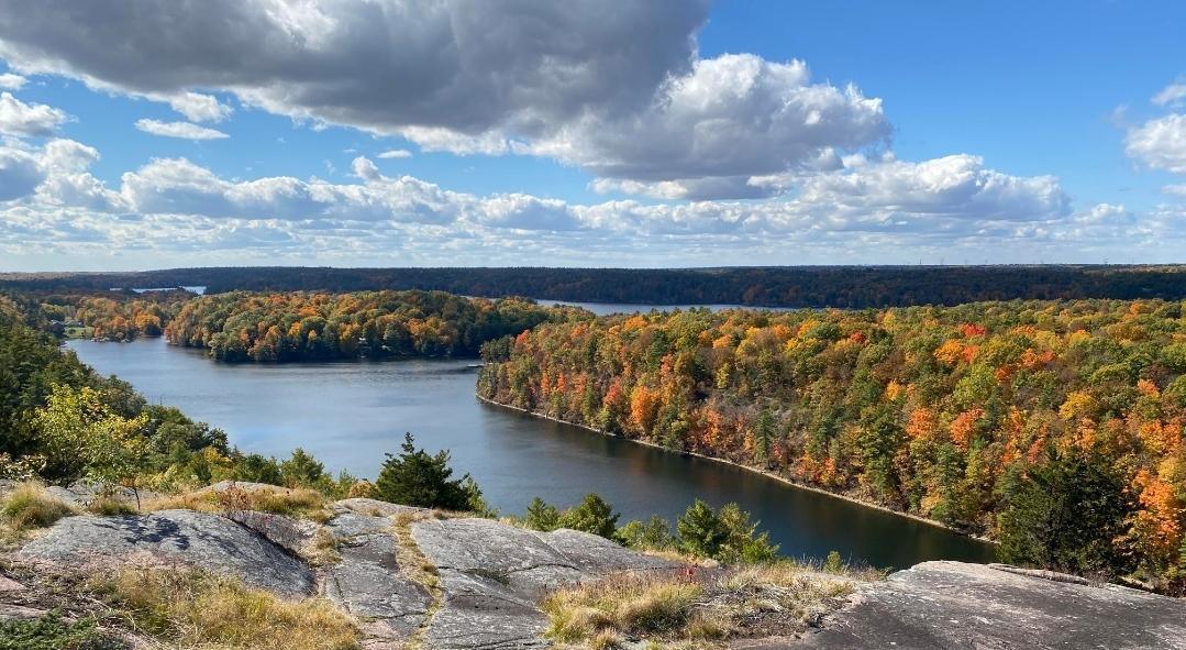 Ontario Fall Colours Guide 2025