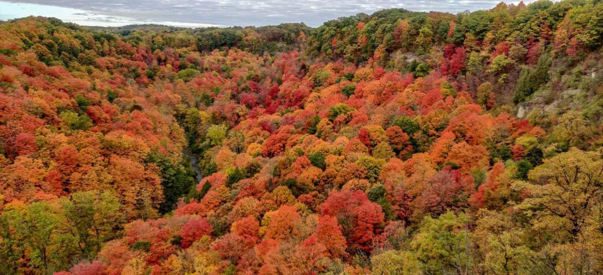 Ontario Fall Colours Guide 2025 Ontario Fall Colours Guide 2025