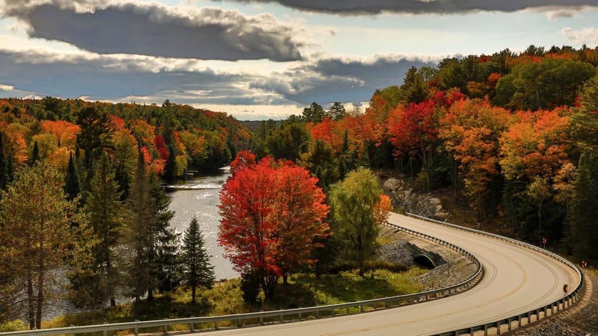 Ontario Fall Colours Guide 2025
