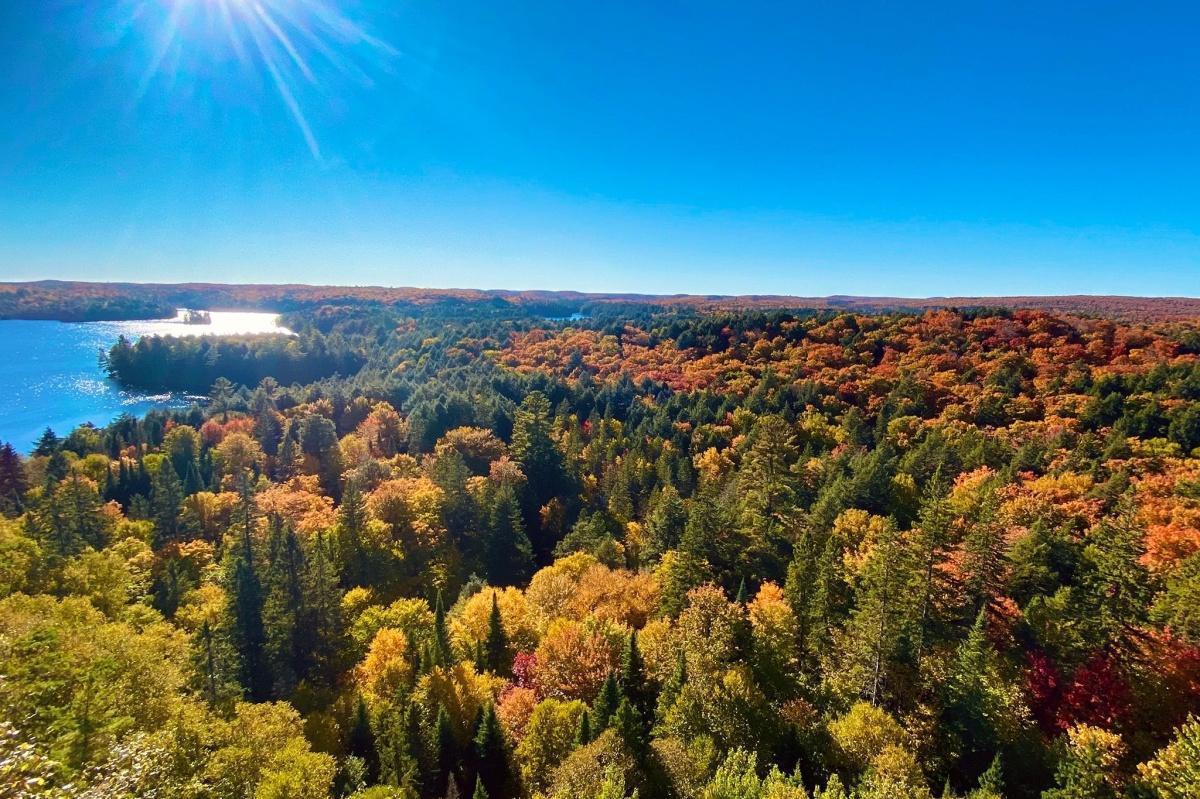 Ontario Fall Colours Guide 2025