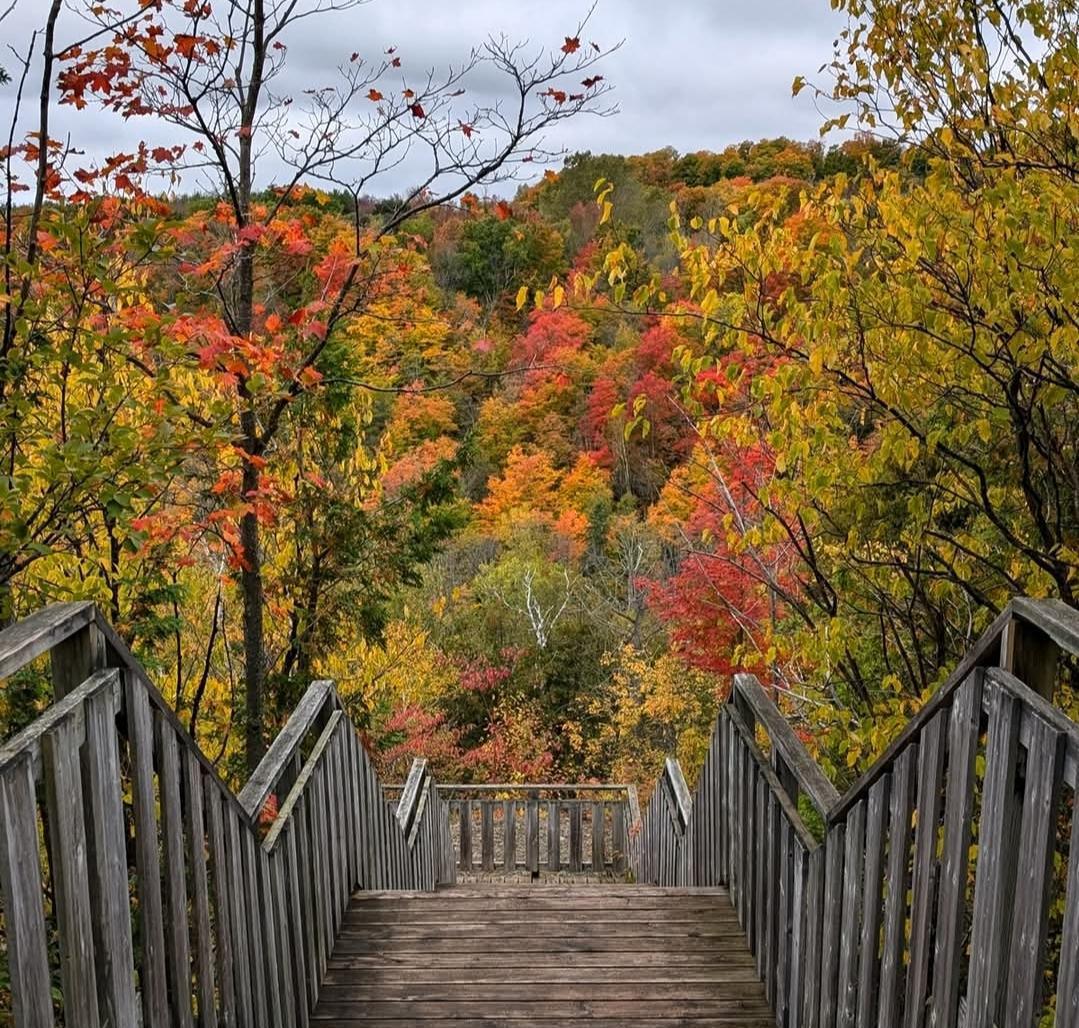 Ontario Fall Colours Guide 2025 Ontario Fall Colours Guide 2025