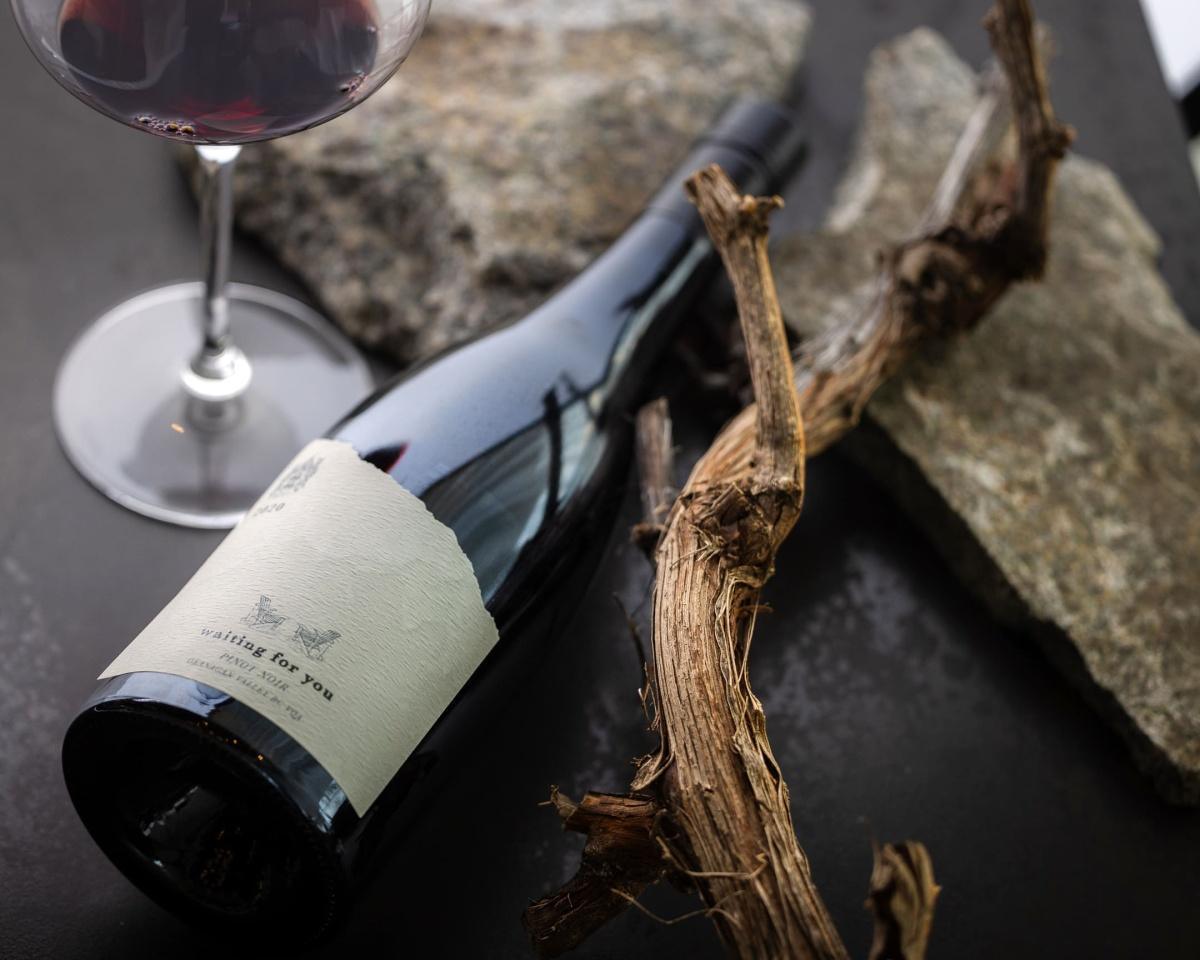 Discovering
O’Rourke
Family Estate Discovering
O’Rourke
Family Estate