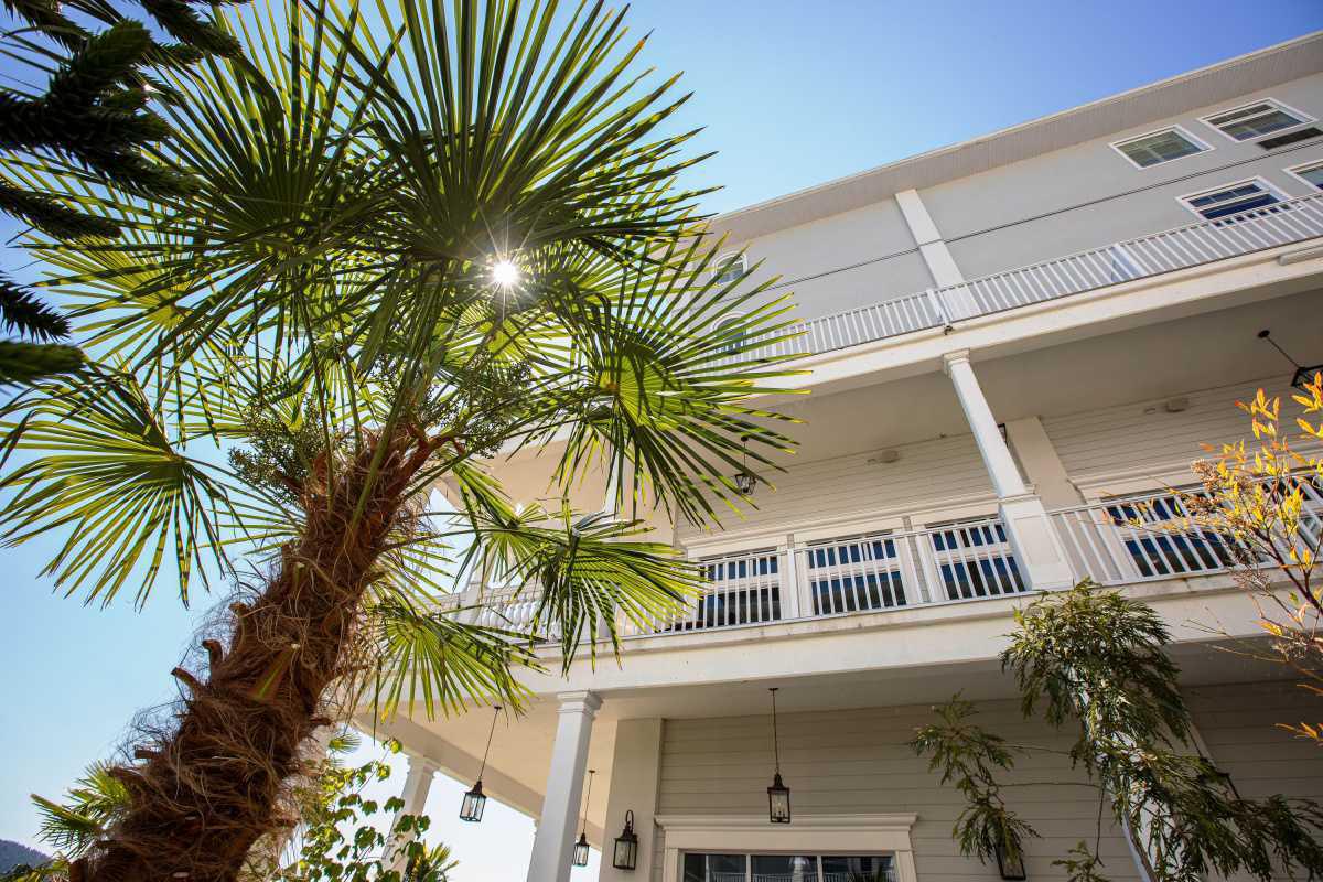 Where the Harbour Slows Time and Life Finds Its Rhythm