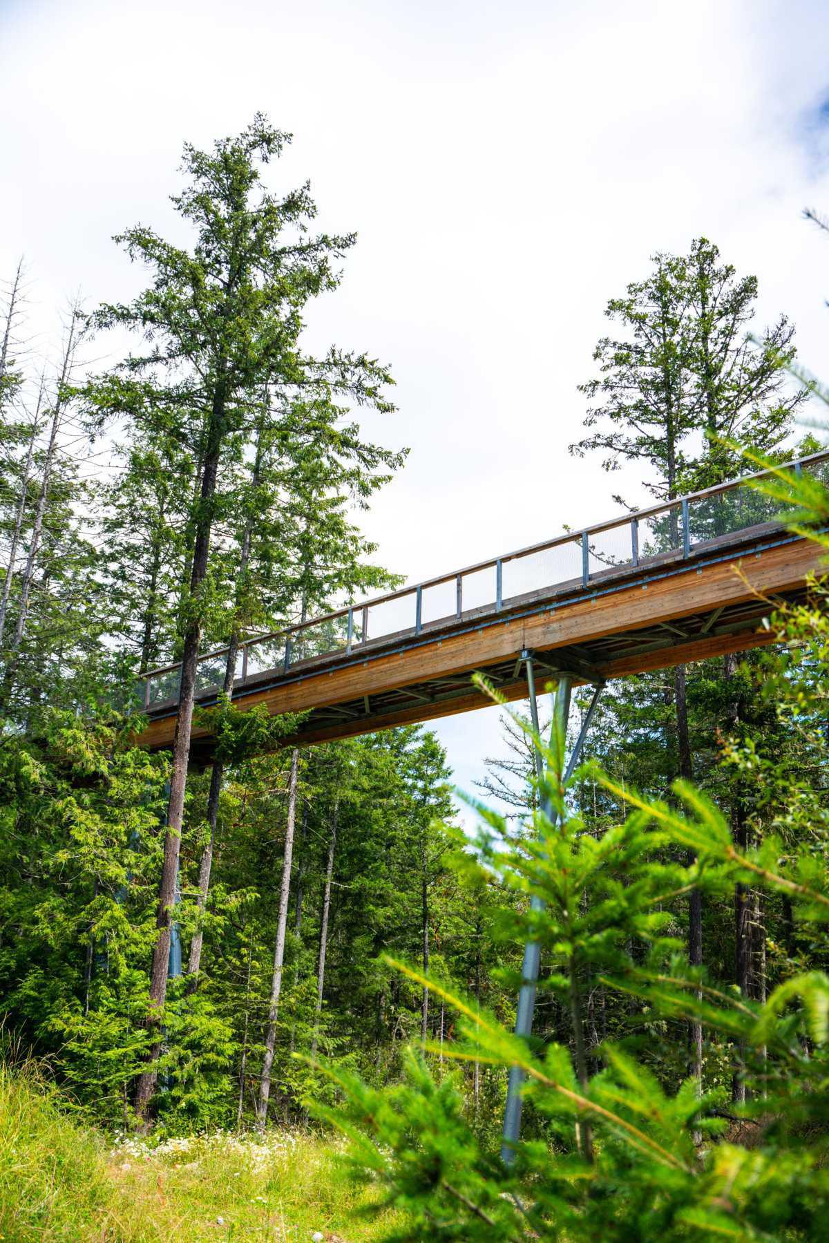 Walking in the Sky Walking in the Sky