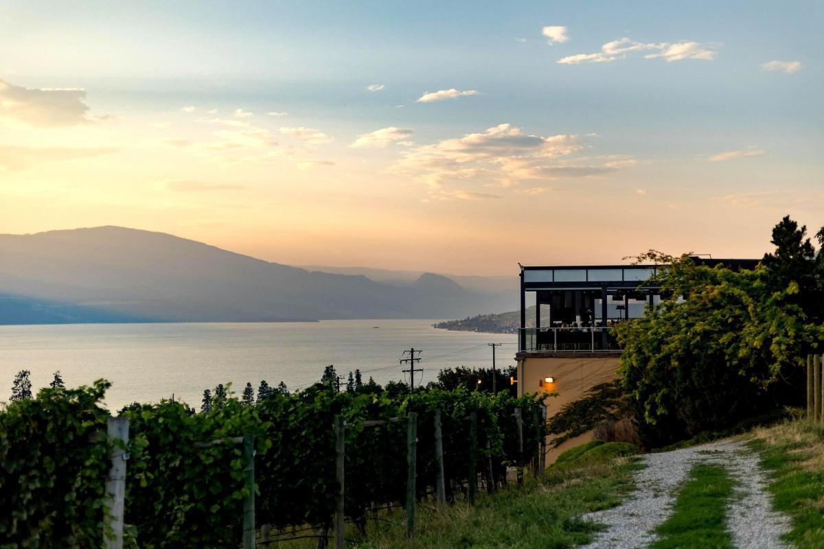 Rooted in Place Rooted in Place