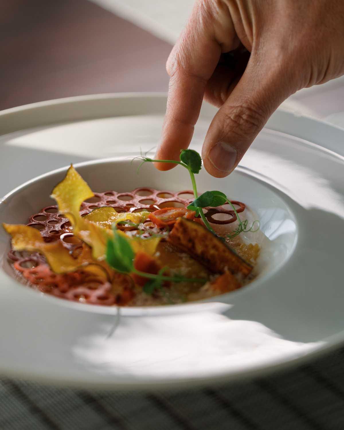 Terroir, Terrace, Table