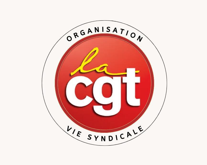 COLLECTIF ORGANISATION – VIE SYNDICALE