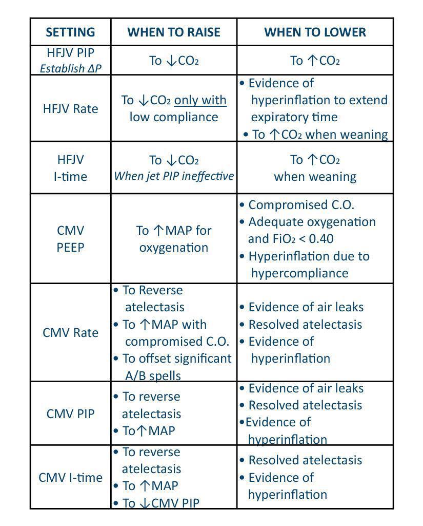 LifePulse Jet Ventilator Pocket Guide