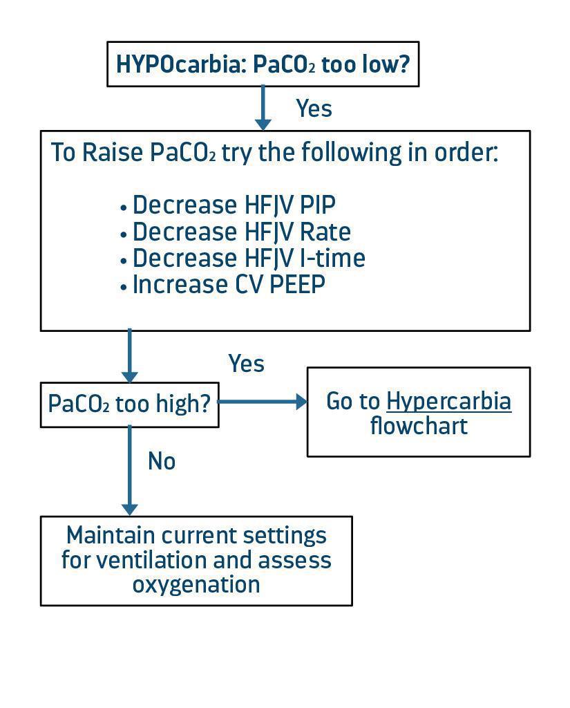 LifePulse Jet Ventilator Pocket Guide