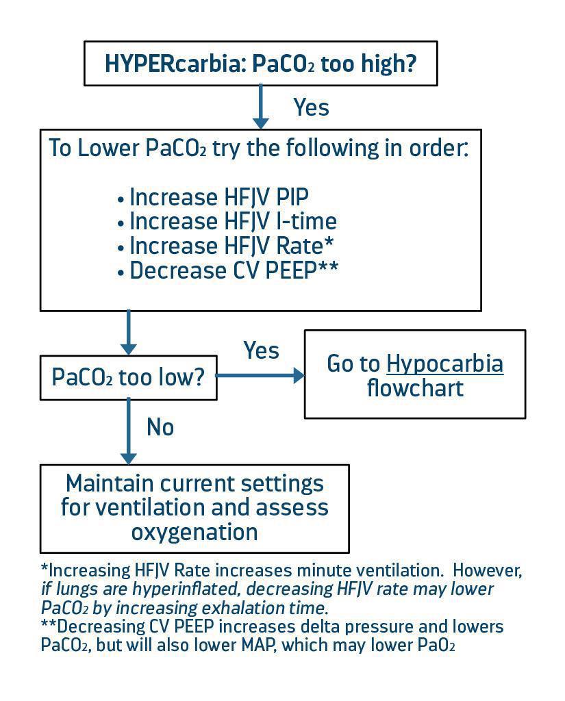 LifePulse Jet Ventilator Pocket Guide