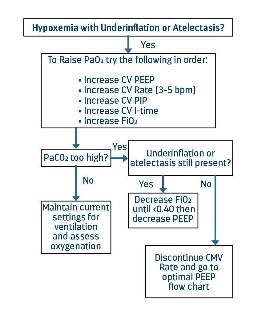 LifePulse Jet Ventilator Pocket Guide
