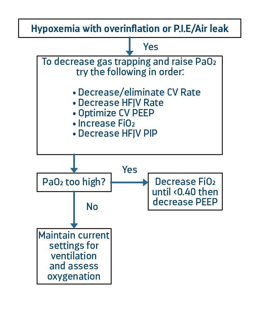 LifePulse Jet Ventilator Pocket Guide