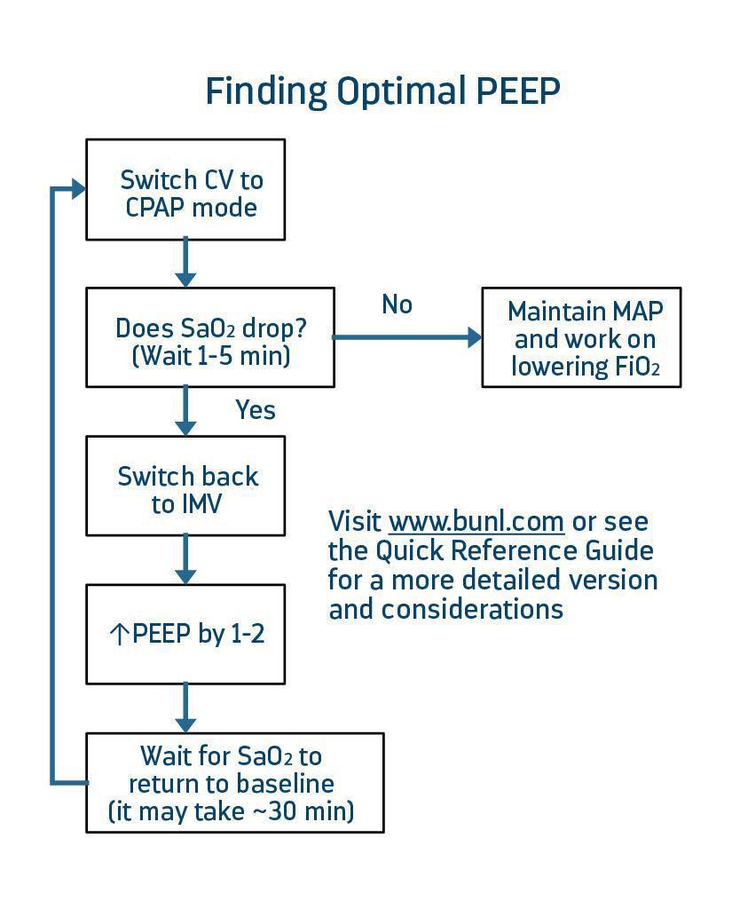 LifePulse Jet Ventilator Pocket Guide