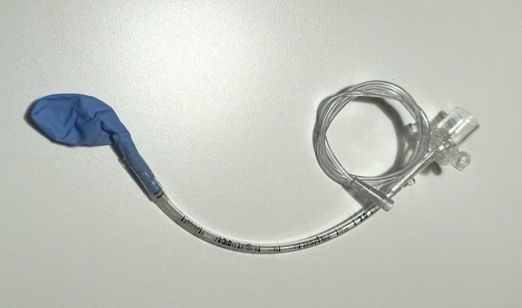 LifePulse 203 Pre-Use Tests