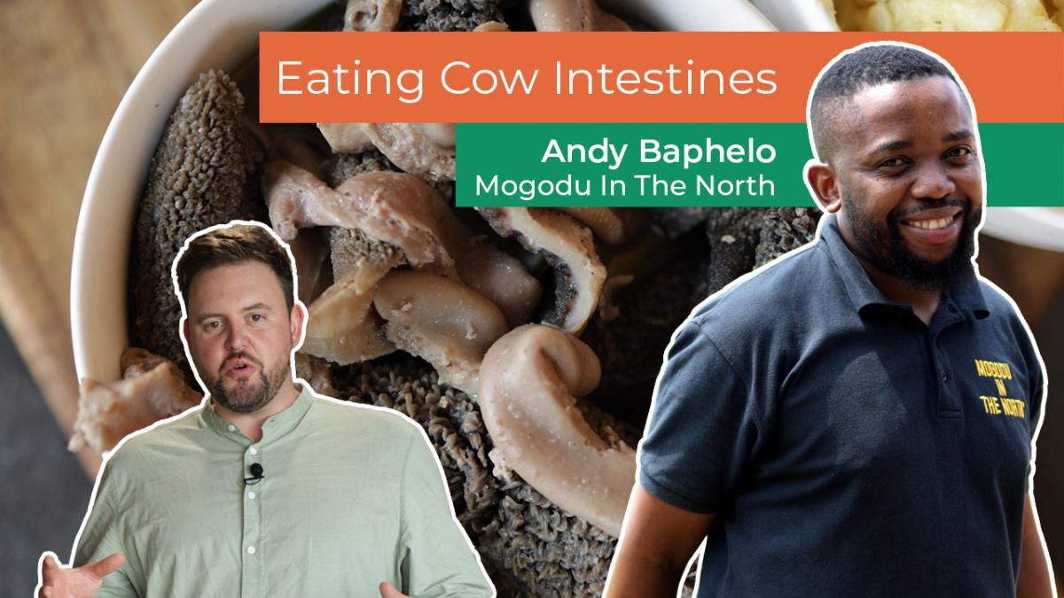 Mogodu and Nyama Yenthloko: Meet The Chef Giving These Traditional Classics a Facelift Mogodu and Nyama Yenthloko: Meet The Chef Giving These Traditional Classics a Facelift