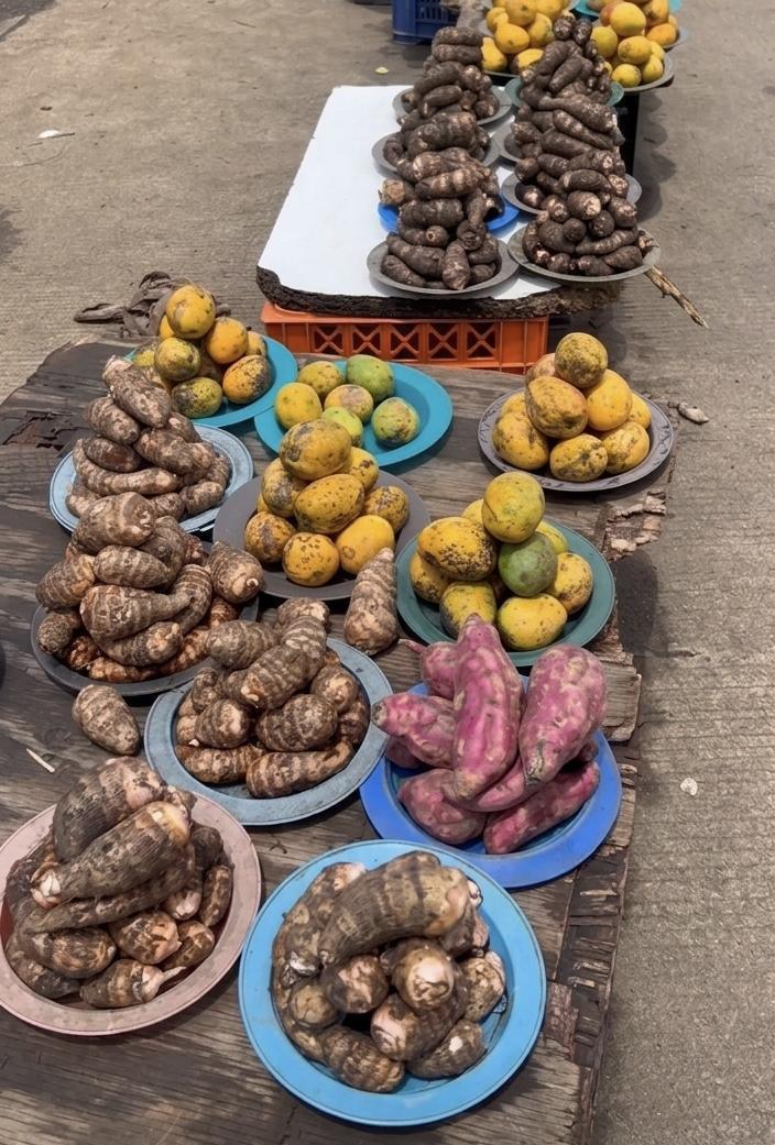 The Potato of the Tropics: The Living Journey of Madumbi