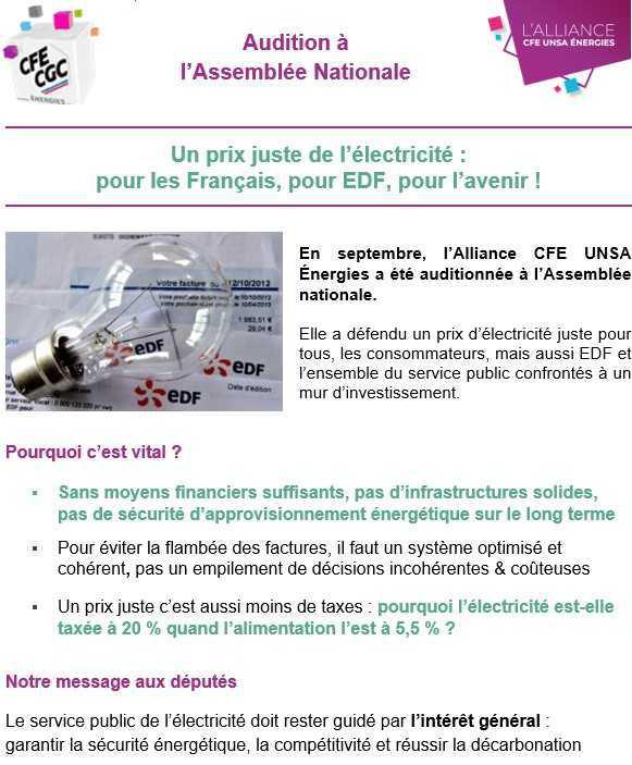 Prix de l'électricité : audition à l'Assemblée