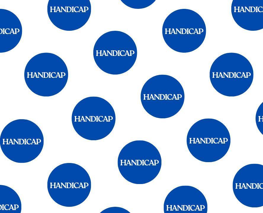 Handicap 8 Gamer