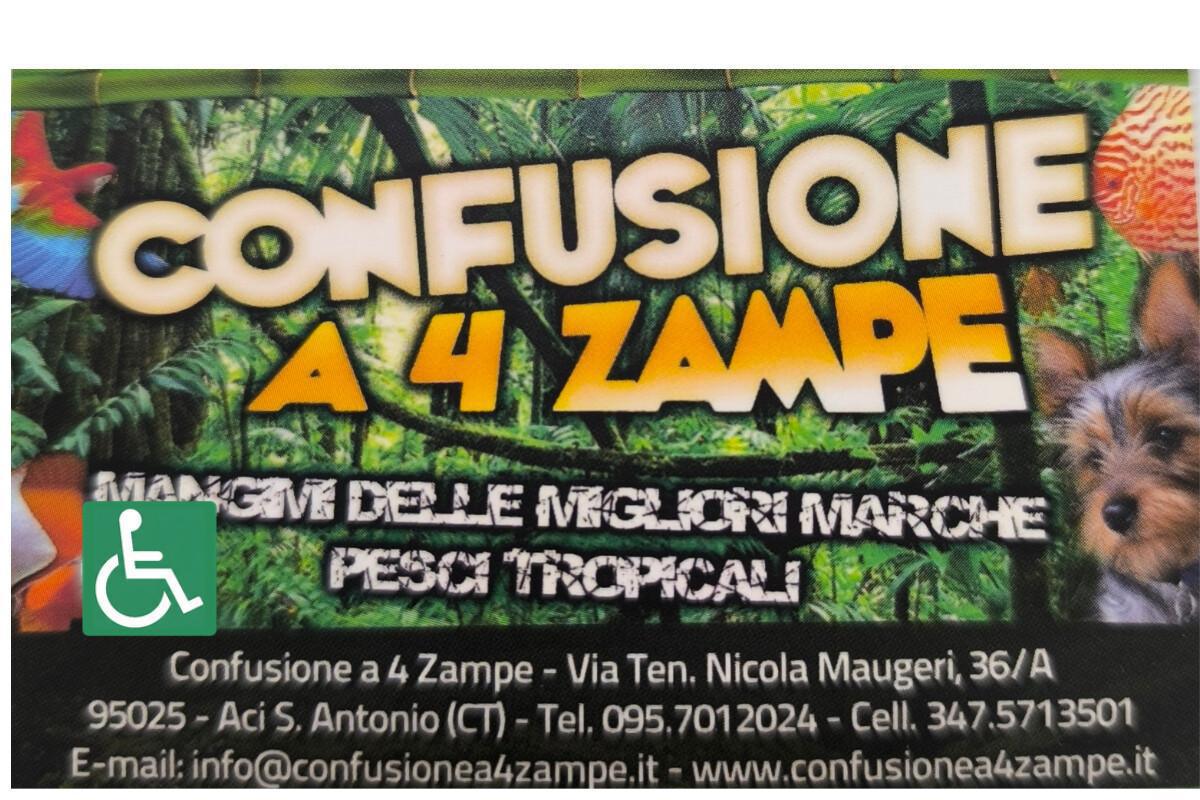 Confusione a 4 zampe