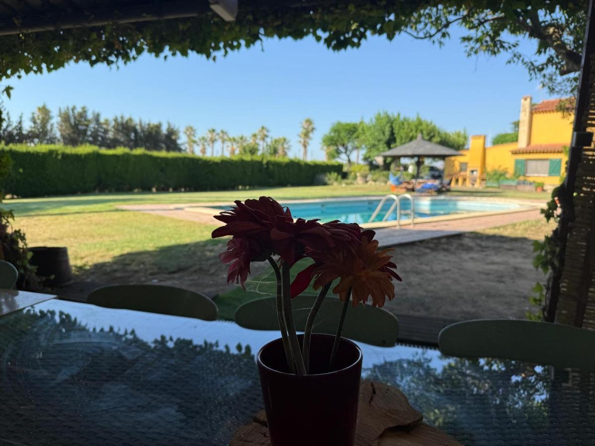 Mas Robert. Un espacio de ocio, celebraciones familiares en un entorno tranquilo Mas Robert. Un espacio de ocio, celebraciones familiares en un entorno tranquilo