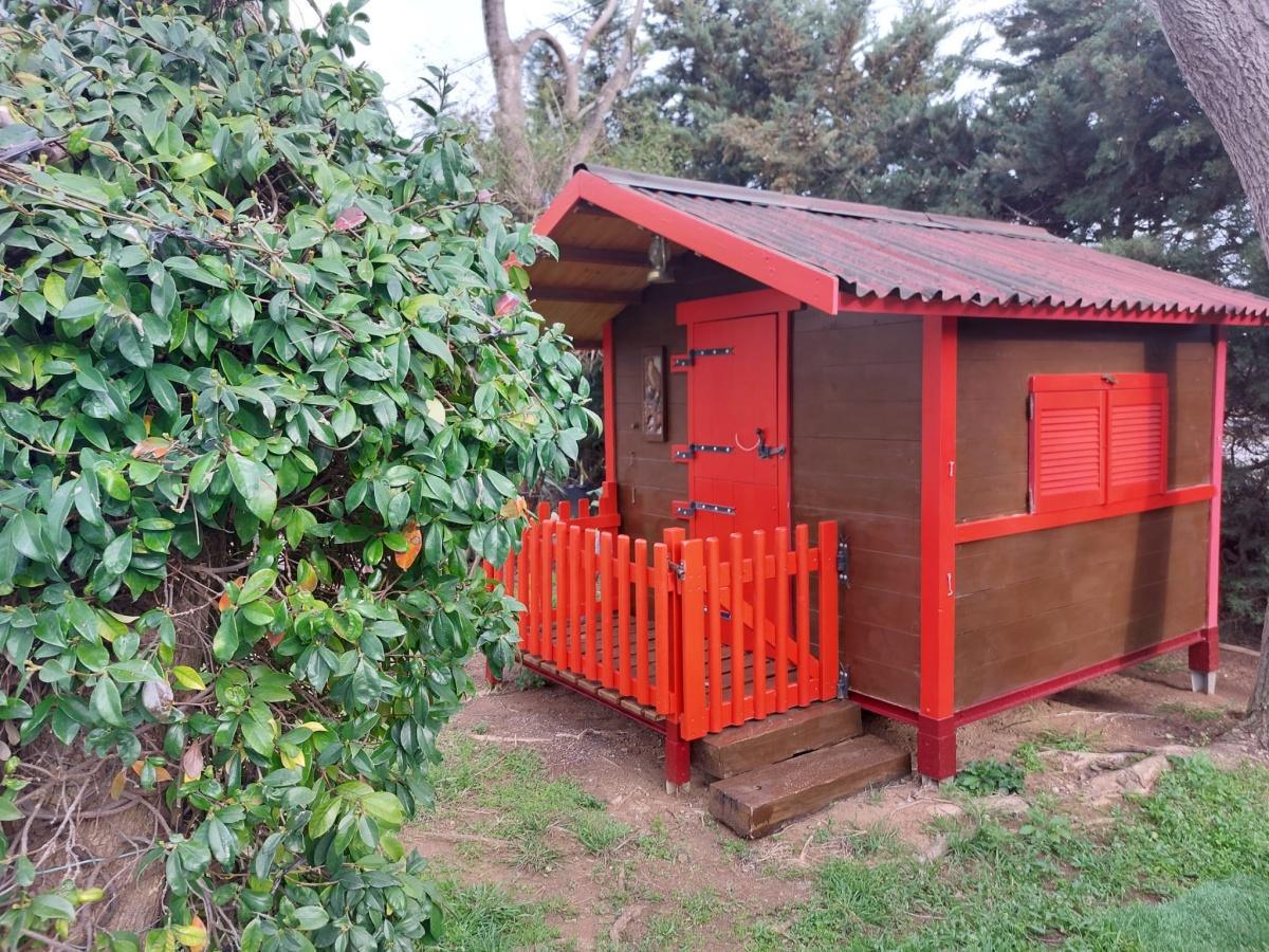 Alquiler para aniversarios