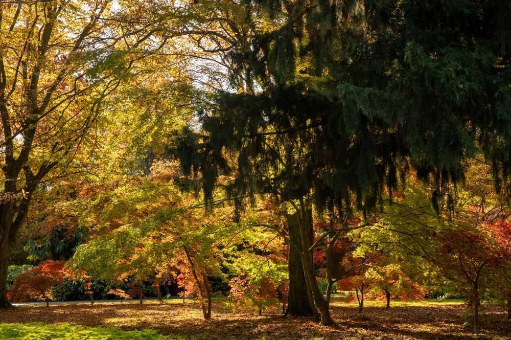 Sabato d'Artista - Parco giardino Sigurtà