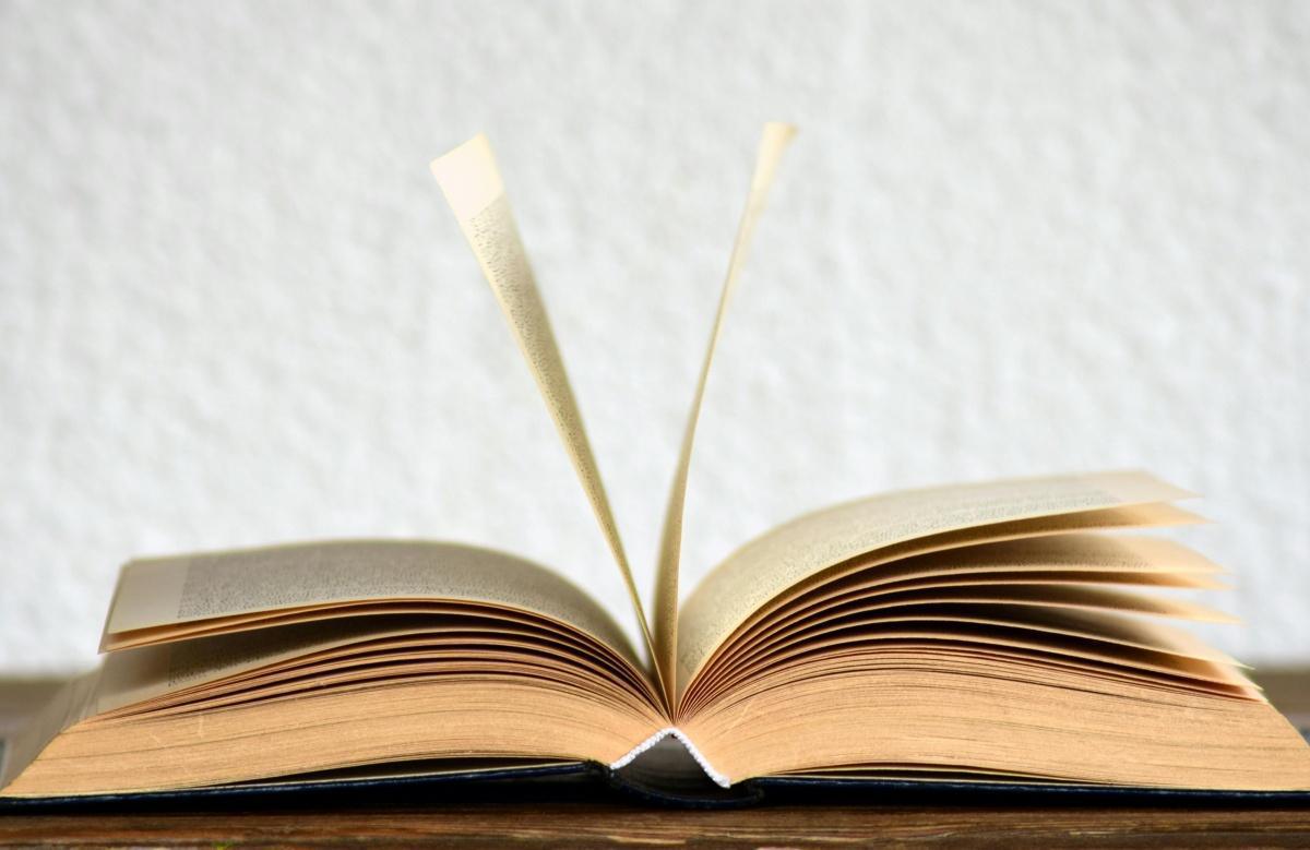 L’édition à l’ère du bouleversement : panorama des mutations contemporaines L’édition à l’ère du bouleversement : panorama des mutations contemporaines