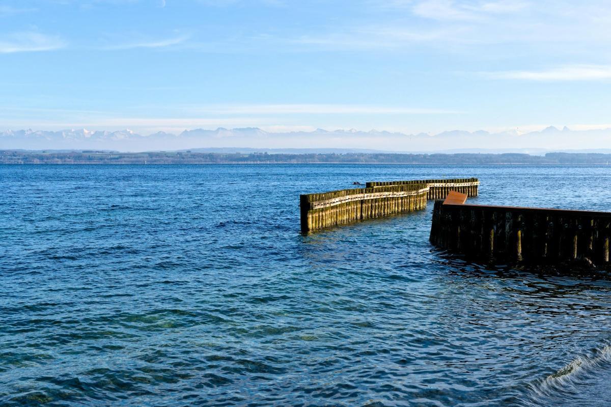 Le Prix des cinq continents de la Francophonie 2025-2026 : un tremplin pour la diversité littéraire francophone Le Prix des cinq continents de la Francophonie 2025-2026 : un tremplin pour la diversité littéraire francophone