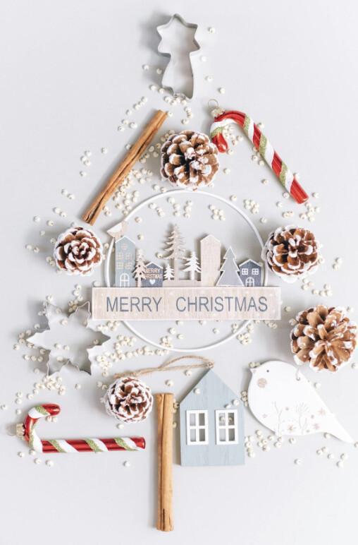 SNN Christmas Special Business Networking