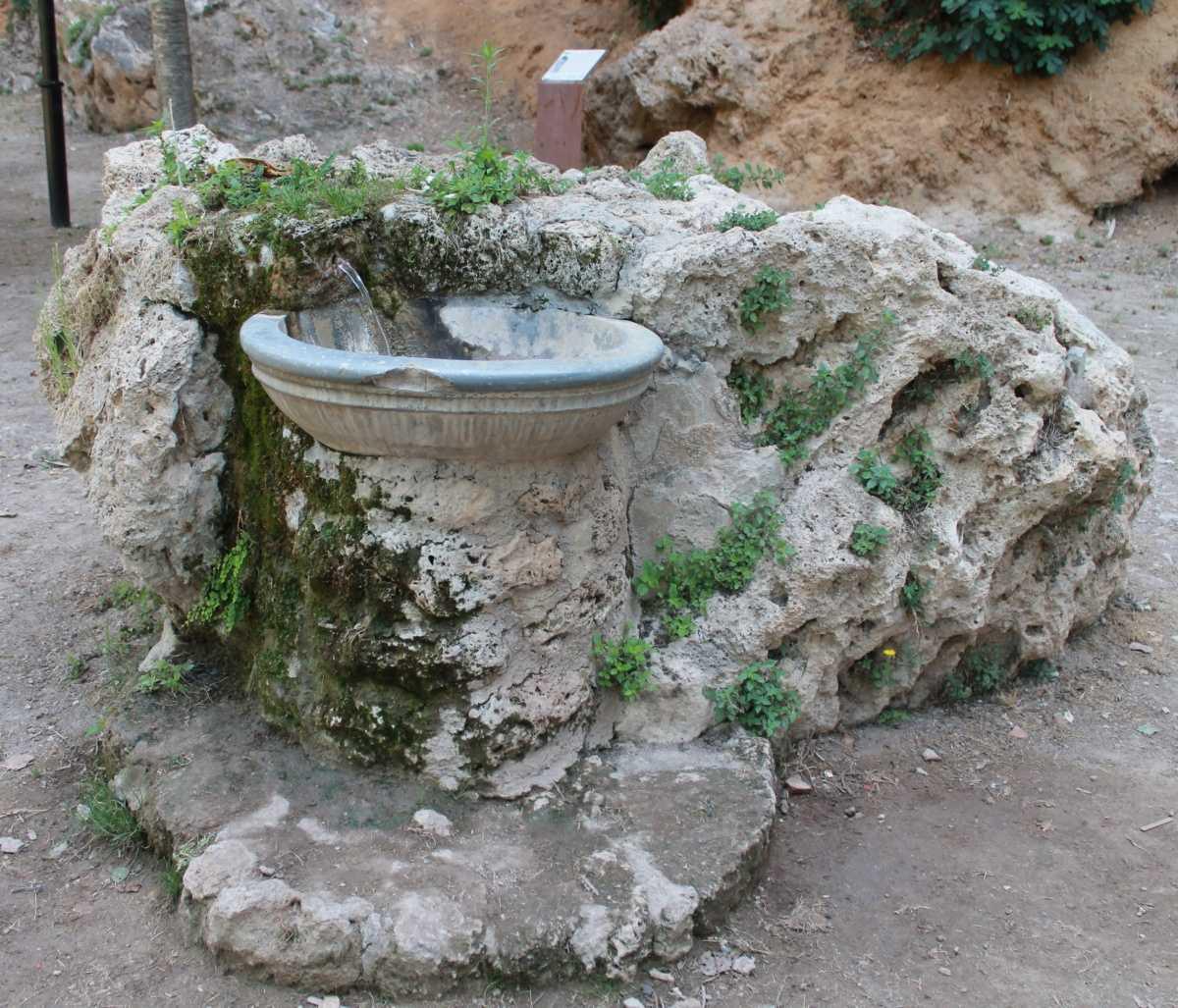 La Floresta La Floresta